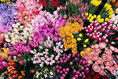 《华纳大乱斗》第一赛季通行证 将于8月15日推出