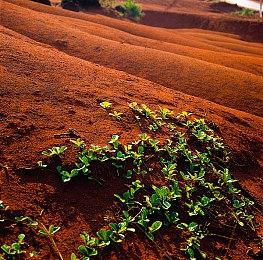听声辨位做出抉择 音频互动游戏《黑暗计划》发售